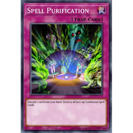 Spell Purification (Common)
