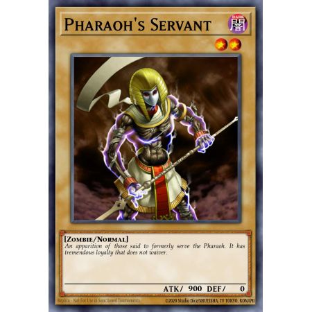 Pharaoh's Servant (Common)