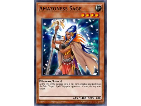Amazoness Sage (Common)