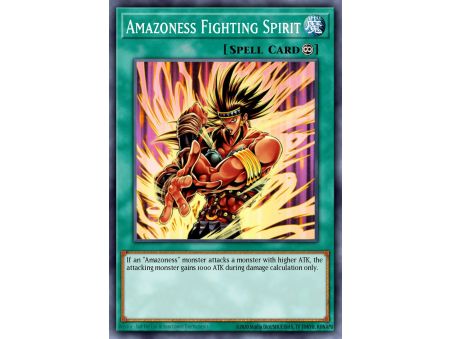 Amazoness Fighting Spirit (Common)