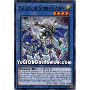 Paladin of Storm Dragon (Rare)