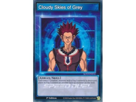 Cloudy Skies of Grey (Common)