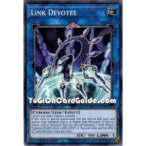 Link Devotee (Common)