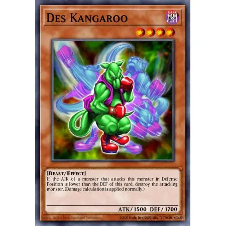 Des Kangaroo (Common)