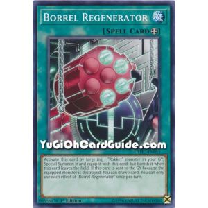 Borrel Regenerator