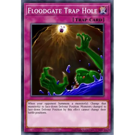 Floodgate Trap Hole (Common)