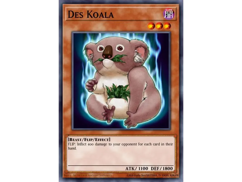 Des Koala (Common)