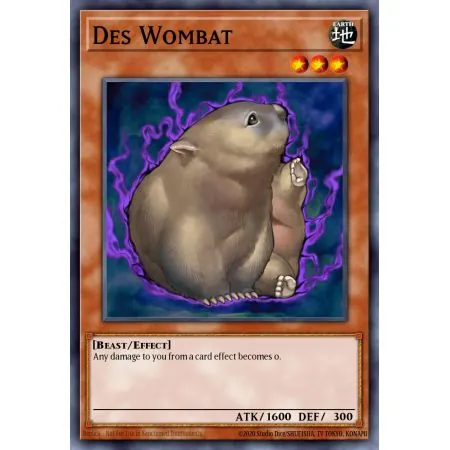 Des Wombat (Common)