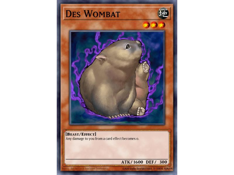 Des Wombat (Common)