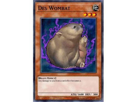 Des Wombat (Common)