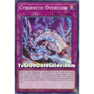 Cybernetic Overflow (Common)