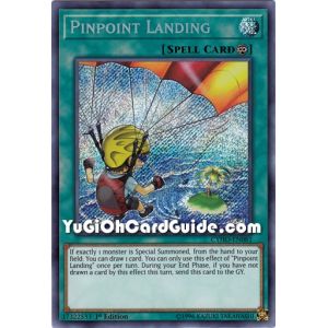 Pinpoint Landing (Secret Rare)