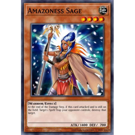 Amazoness Sage (Common)