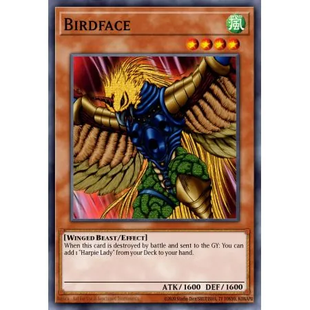 Birdface (Common)