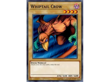 Whiptail Crow (Common)