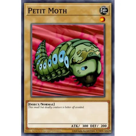 Petit Moth (Common)