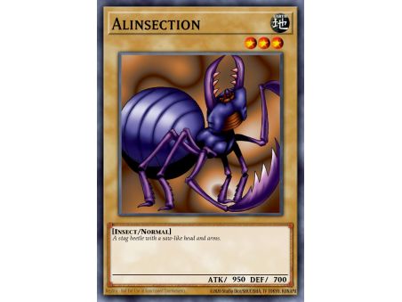 Alinsection (Common)