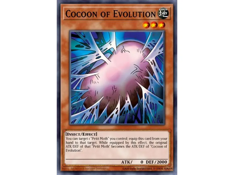 Cocoon of Evolution (Common)