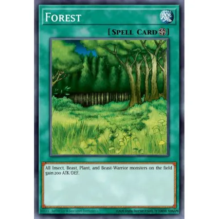 Forest (Common)