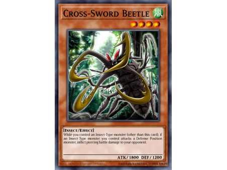 Cross-Sword Beetle (Common)