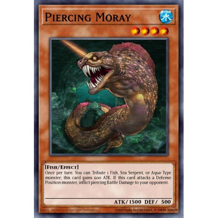 Piercing Moray (Common)