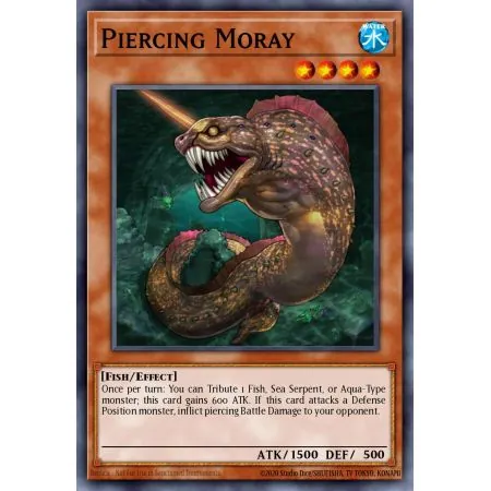 Piercing Moray (Common)
