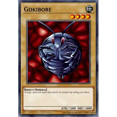 Gokibore (Common)