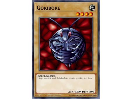 Gokibore (Common)