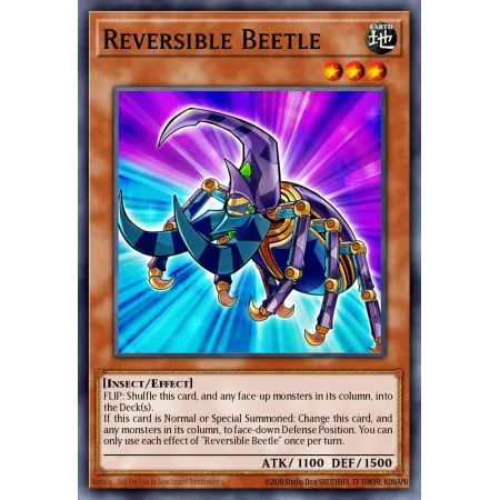 Reversible Beetle (Common)