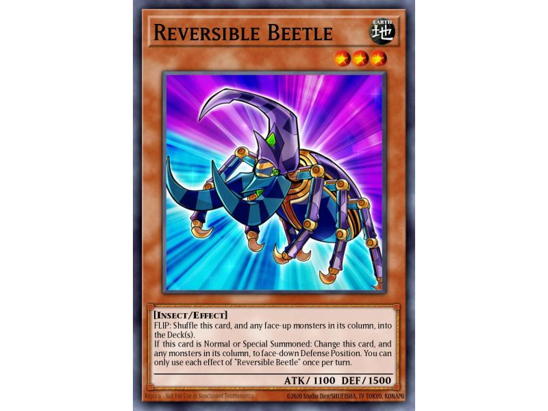 Reversible Beetle (Common)