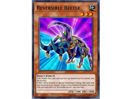 Reversible Beetle (Common)