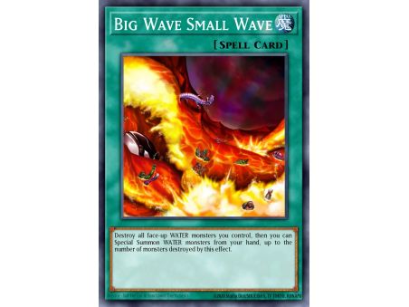 Big Wave Small Wave (Common)