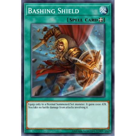 Bashing Shield (Common)