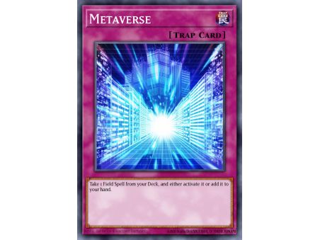 Metaverse (Common)