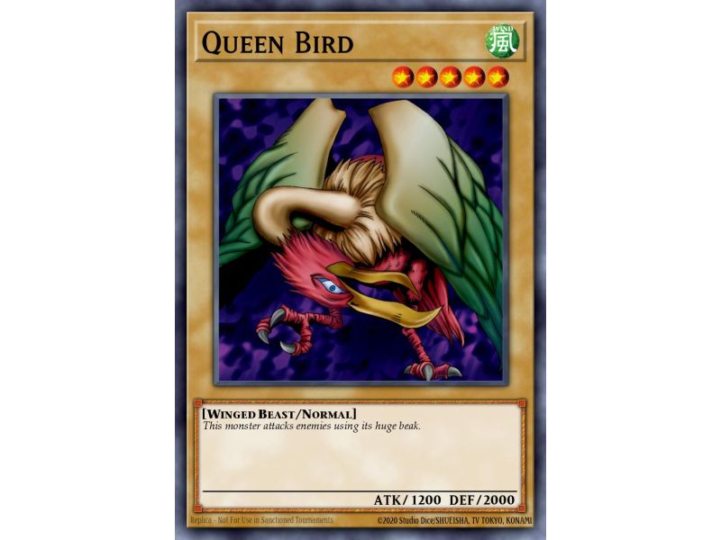 Queen Bird (Common)