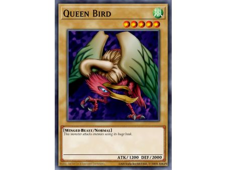 Queen Bird (Common)