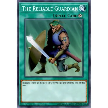 The Reliable Guardian (Common)
