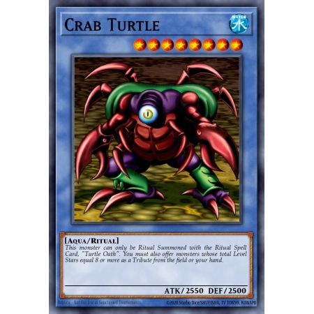 Crab Turtle (Common)