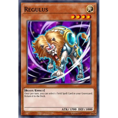 Regulus (Common)