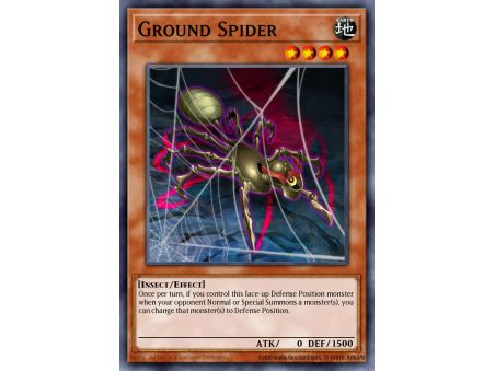 Ground Spider (Common)