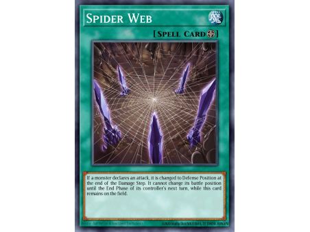 Spider Web (Common)