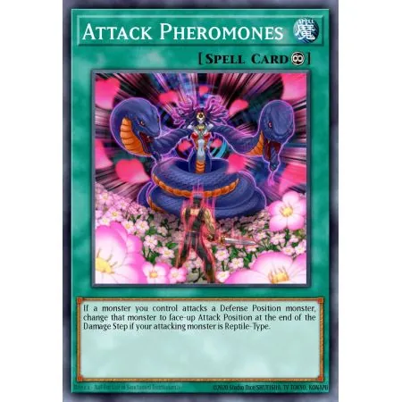 Attack Pheromones (Common)