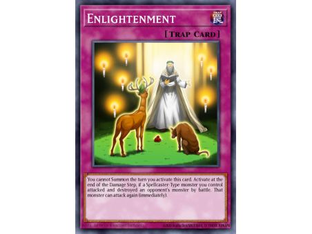 Enlightenment (Common)