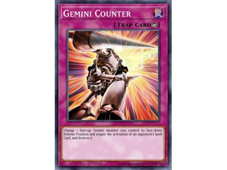 Gemini Counter (Common)