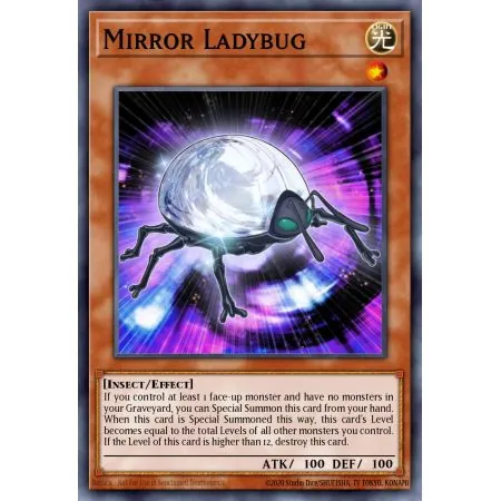 Mirror Ladybug (Common)