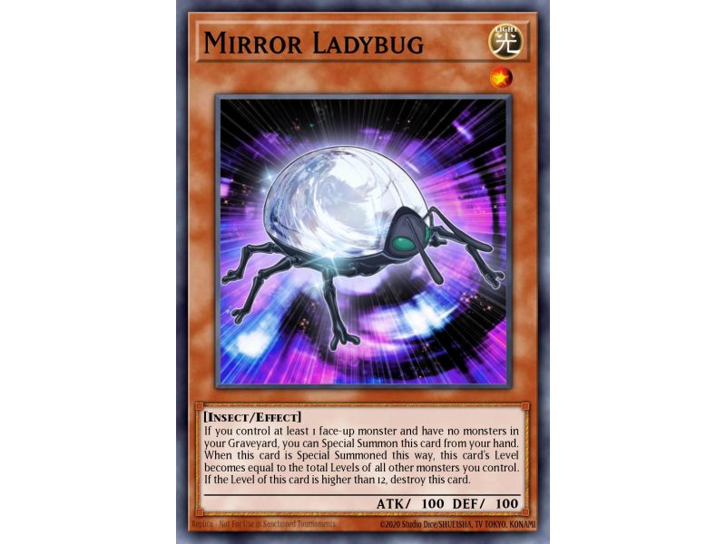 Mirror Ladybug (Common)