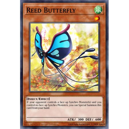 Reed Butterfly (Common)