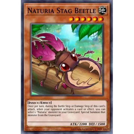 Naturia Stag Beetle (Common)