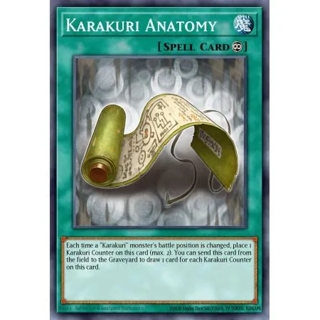 Karakuri Anatomy (Common)