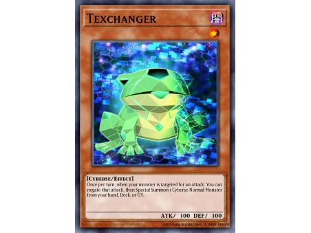 Texchanger (Common)